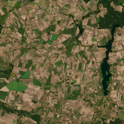 Satelita
