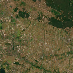 Satelita