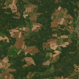 Satelita