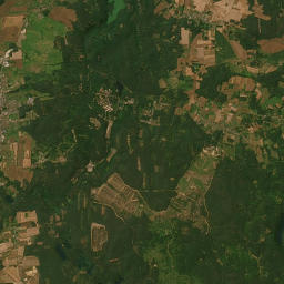 Satelita