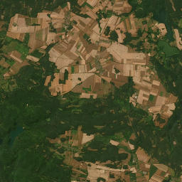 Satelita