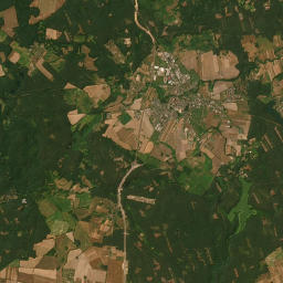 Satelita