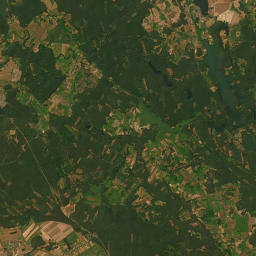 Satelita