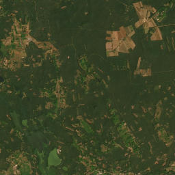 Satelita