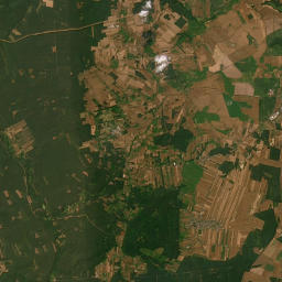 Satelita