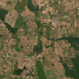 Satelita