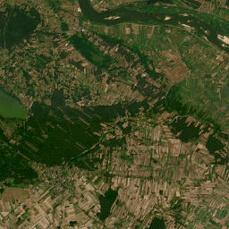 Satelita