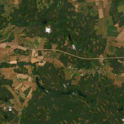 Satelita