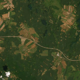 Satelita
