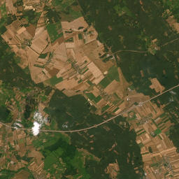 Satelita
