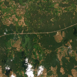 Satelita