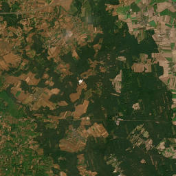 Satelita