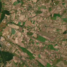 Satelita