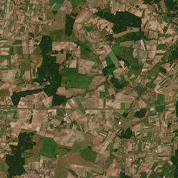 Satelita