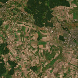 Satelita