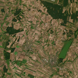 Satelita