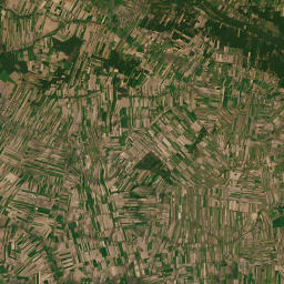 Satelita