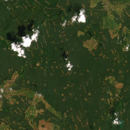 Satelita
