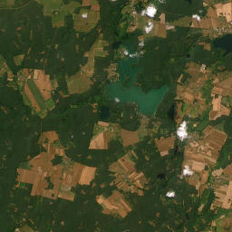 Satelita