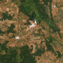 Satelita