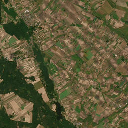 Satelita