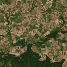 Satelita
