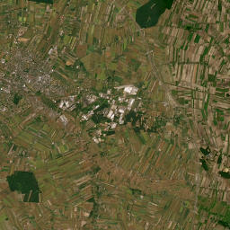 Satelita