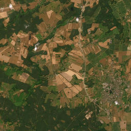 Satelita