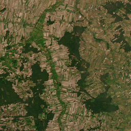 Satelita