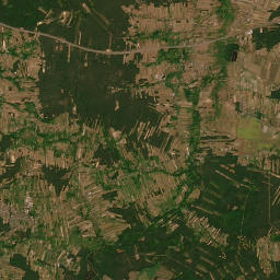 Satelita