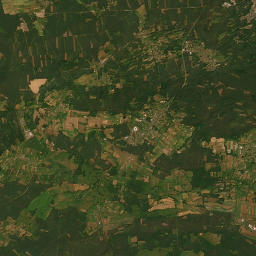 Satelita
