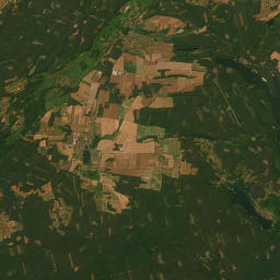 Satelita