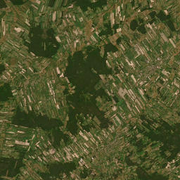 Satelita