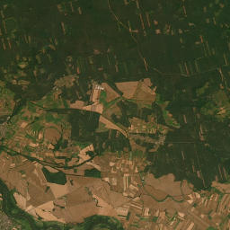 Satelita