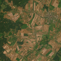 Satelita