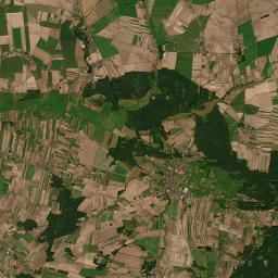 Satelita
