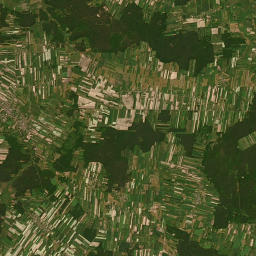 Satelita