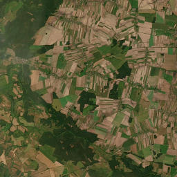 Satelita