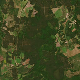Satelita