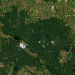 Satelita