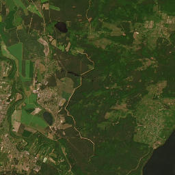 Satelita