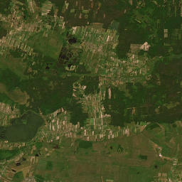 Satelita
