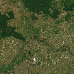 Satelita