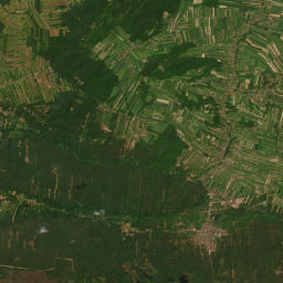 Satelita