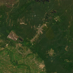 Satelita