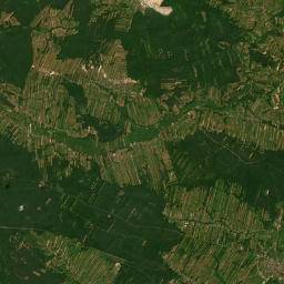 Satelita