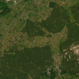 Satelita