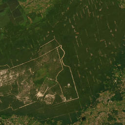 Satelita