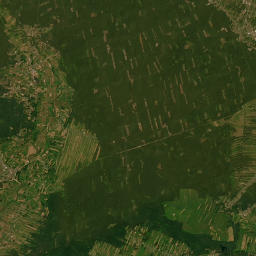 Satelita