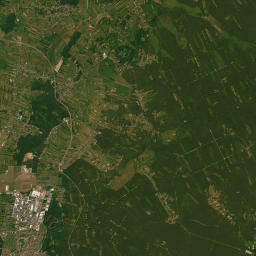 Satelita